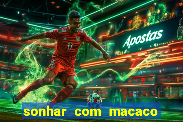 sonhar com macaco o que significa